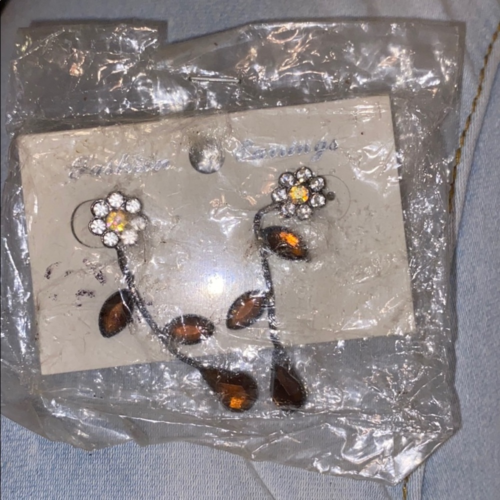 Fashion earrings